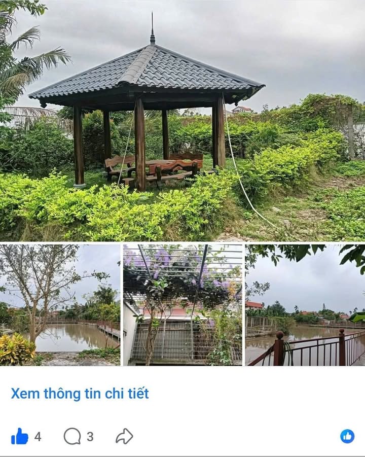 Nhà vườn tại Hoà Nghĩa, Dương Kinh 2824m² - Tiềm năng tăng giá cao!