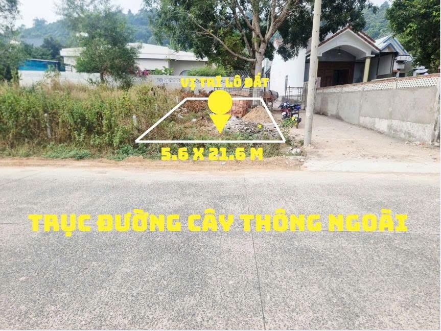 Đất nền mặt đường Cây Thông Ngoài, Phú Quốc 120m² - Đầu tư sinh lời hiệu quả!