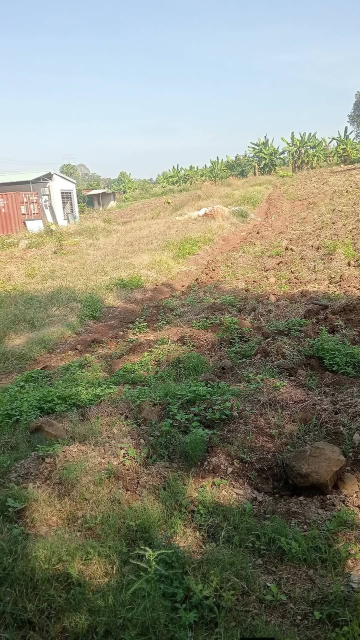 Đất nền Dầu Giây 1000m² giá chỉ 1.3 tỷ - Cơ hội đầu tư không thể bỏ lỡ!