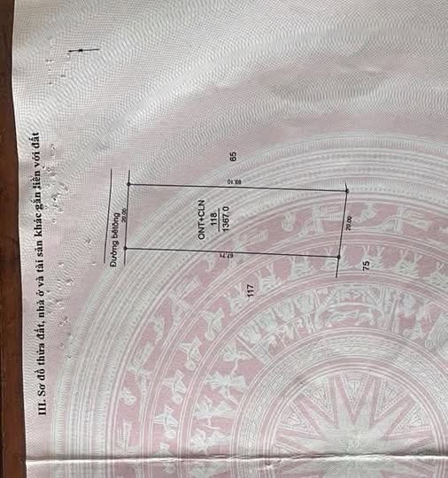 Đất thổ cư 1600m² xã Ea Hồ, Huyện Krông Năng giá 1.4 tỷ - Đầu tư sinh lời ngay!