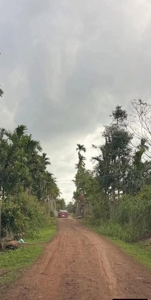 Đất thổ cư Xuân Tây, Cẩm Mỹ 678m² giá chỉ 5.4 tỷ - Pháp lý rõ ràng!