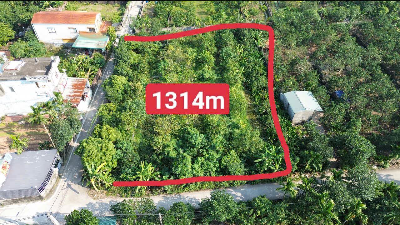 Đất nền lô góc 3 mặt tiền tại Dốc Mọc, Thanh Oai 1314m² chỉ 2.628 tỷ