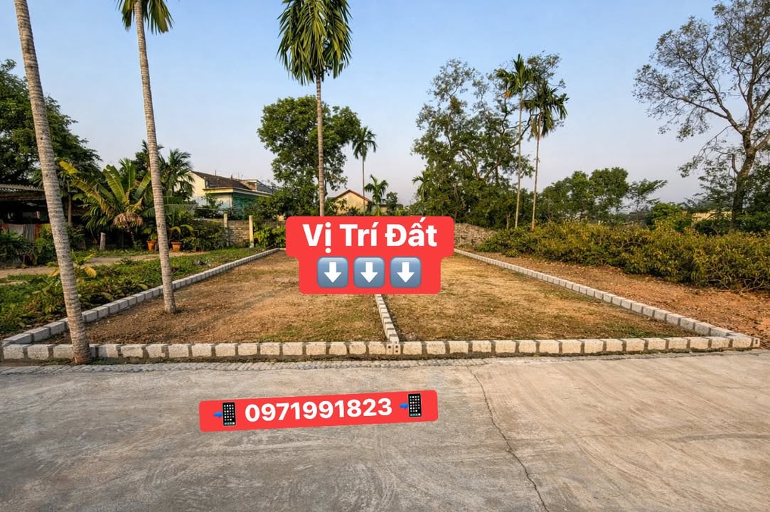 Đất thổ cư Thôn Đình Lê, Tuy Lai 87m² giá 1 tỷ - Sổ hồng chính chủ, đầu tư sinh lời!