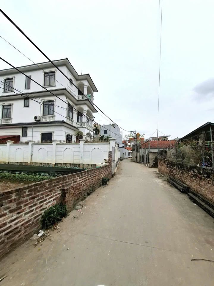 Đất đẹp Tự Nhiên Thường Tín 46,1m² giá 2.59 tỷ - Nở hậu đón tài lộc!