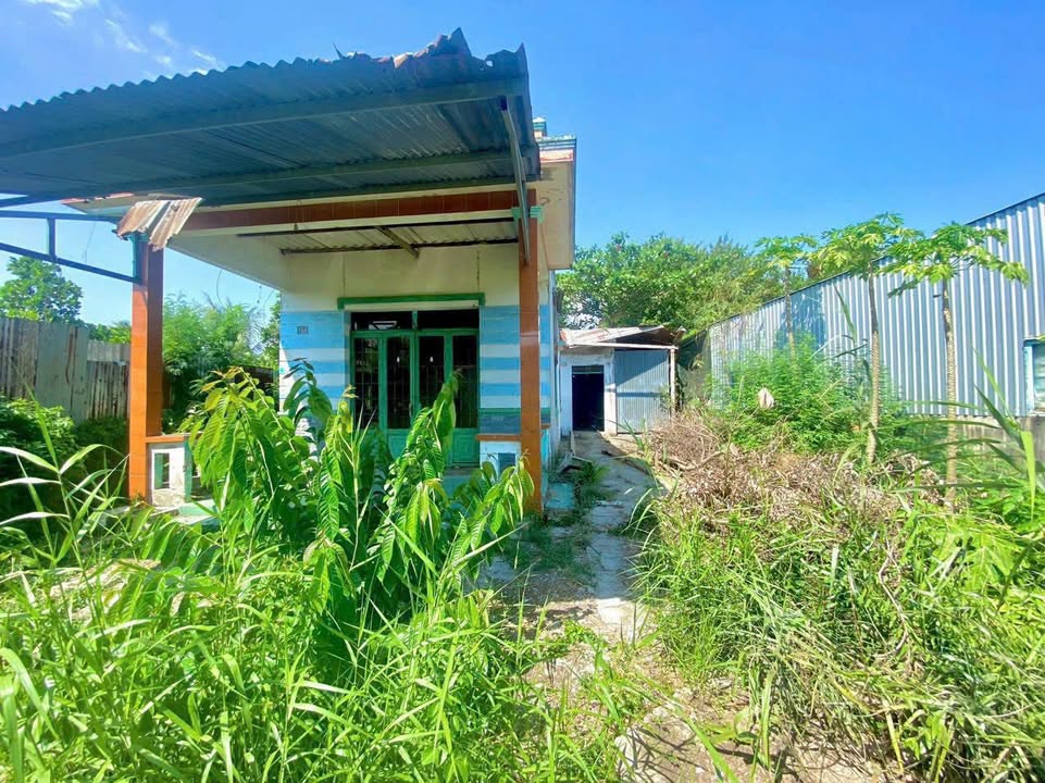 Đất thổ cư 500m² xã Mỹ Lộc, Cần Giuộc giá 3.15 tỷ - Sổ chính chủ, vị trí đẹp!