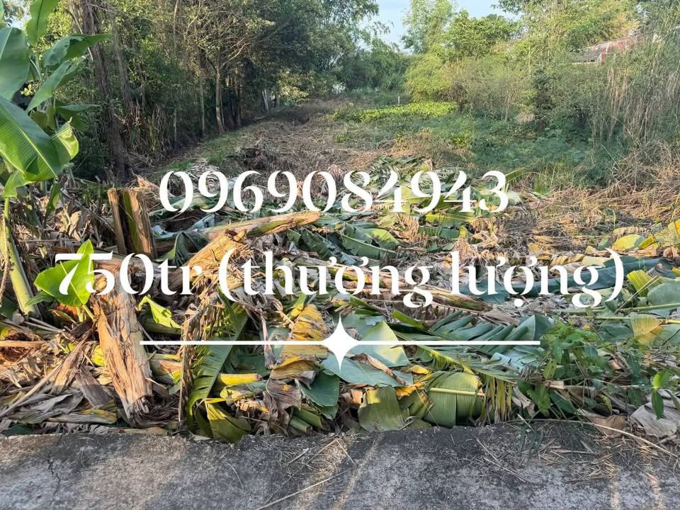 Đất nền xã Thạnh Tiến, huyện Vĩnh Thạnh, 500m² giá 750 triệu - Sổ hồng thổ cư 60%