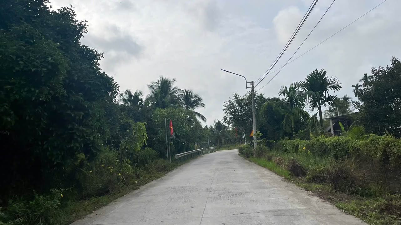 Đất trồng sầu riêng 1629m² tại Cần Thơ - Cơ hội đầu tư tuyệt vời!