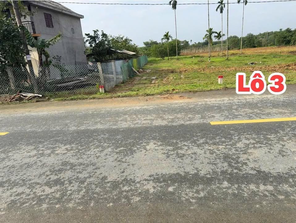 Đất nền mặt tiền Tỉnh Lộ 6B - Phường Phong Hòa 190m² giá chỉ 400 triệu - Cơ hội đầu tư tuyệt vời!