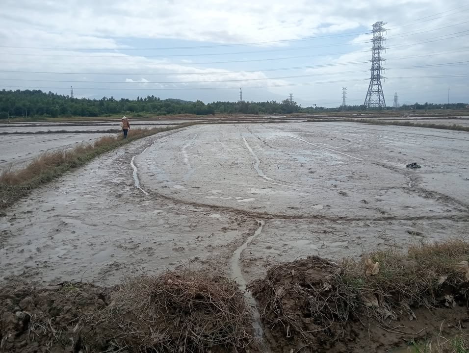 Đất nông nghiệp 6 sào tại Ninh Đông, Ninh Hòa - Giá chỉ 189 triệu!