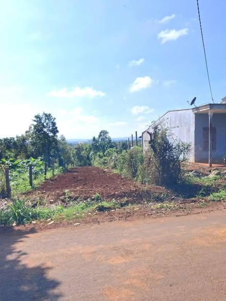 Đất nền đường Huỳnh Tấn Phát, Buôn Hồ 250m² giá 1.3 tỷ - Tiềm năng kinh doanh lớn!