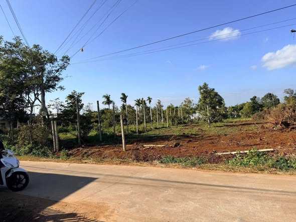 Đất thổ cư mặt tiền Trần Nhật Duật Buôn Hồ 168m² giá 1.47 tỷ - Cơ hội đầu tư tiềm năng!