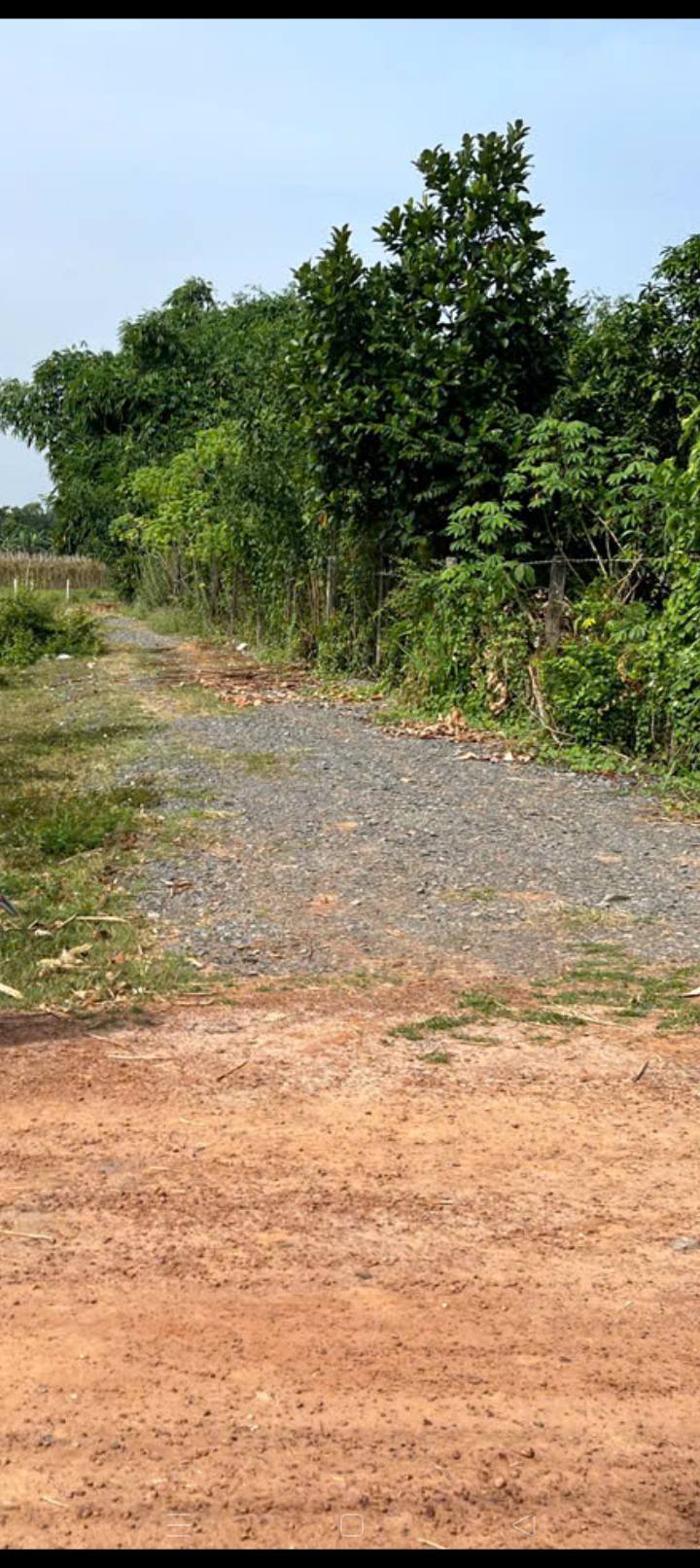 Đất nền xã Phan, huyện Dương Minh Châu 185m² giá chỉ 250 triệu - Sổ sẵn, thổ cư 100%!