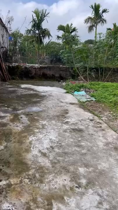 Lô đất thổ cư 84.8m² mặt tiền rộng tại Lạc Hồng, Hưng Yên - Giá chỉ nhỉnh 500 triệu!