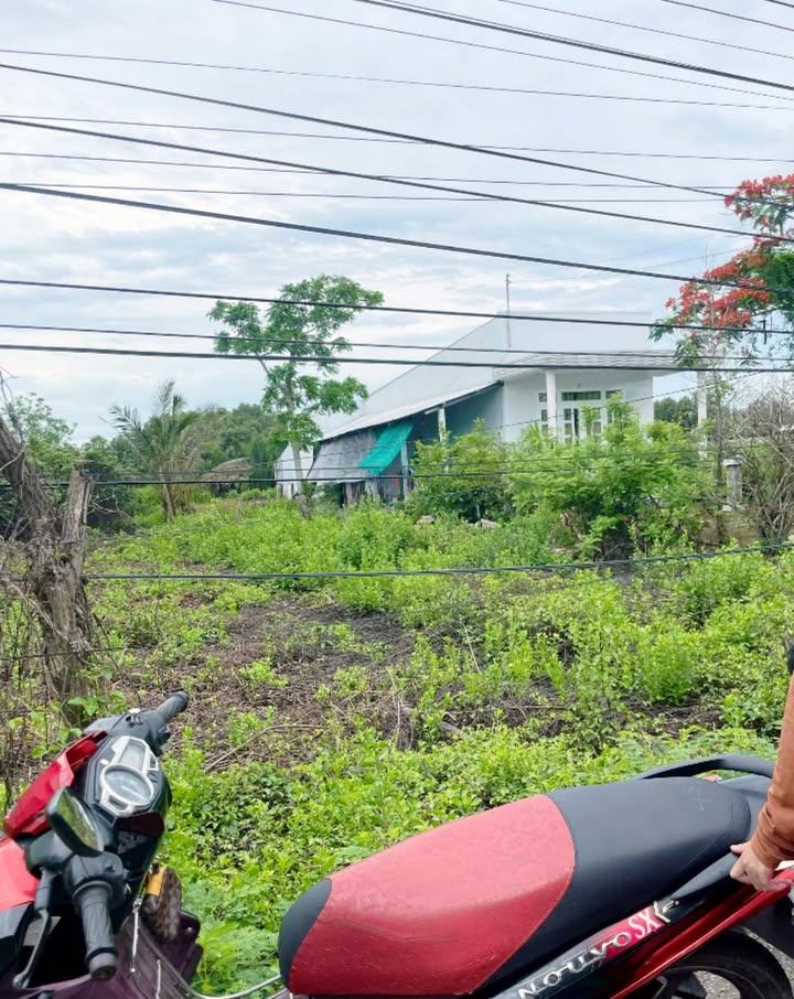 Đất nền Khóm 3, Phường 2 Bạc Liêu 250m² - Giá tốt chỉ 550 triệu!