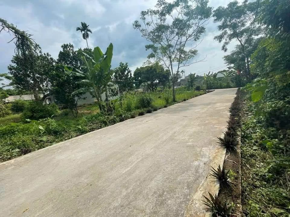 Đất thổ cư tại xóm Trung Hoa, xã Phú Lai Cũ 125m² giá 300 triệu - Cơ hội đầu tư tuyệt vời!