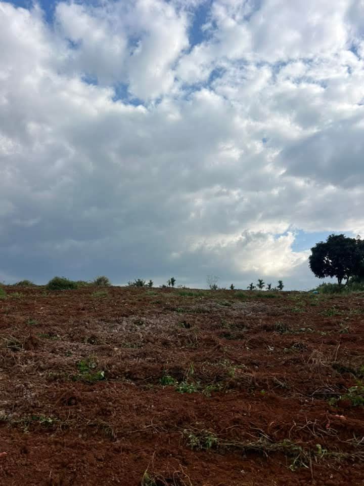 Đất nền Tân Văn, Lâm Hà 20.000m² giá 7.8 tỷ - Đầu tư sinh lời hấp dẫn!