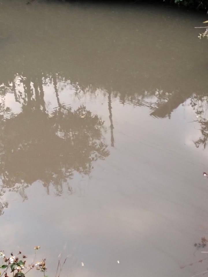 Đất Farm 1.6ha tại Đắk Tơ Lung, Kon Rẫy - Giá chỉ từ 200 triệu!