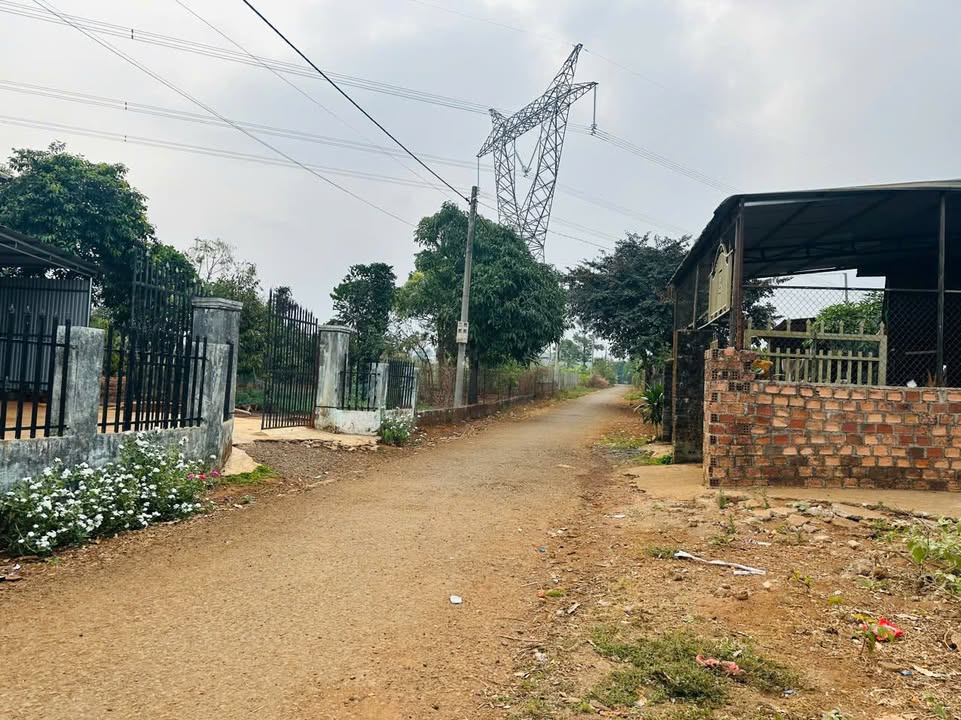 Đất 2 mặt tiền Tỉnh lộ 664, Ia Grai, Gia Lai 100m² - Vị trí kinh doanh đắc địa!