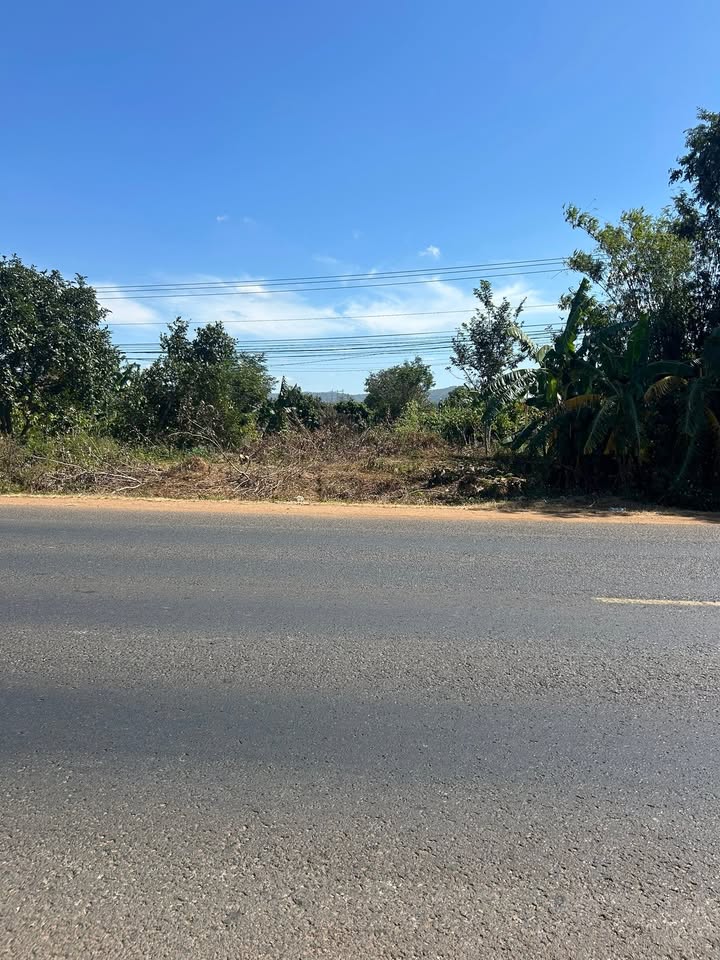 Đất nền xã Ea H'leo 576m² giá chỉ 180 triệu - Cơ hội đầu tư sinh lời!