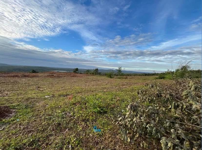 Đất nền 2ha tại thôn 4, Quảng Tín giá 3.8 tỷ - Cơ hội đầu tư hấp dẫn!