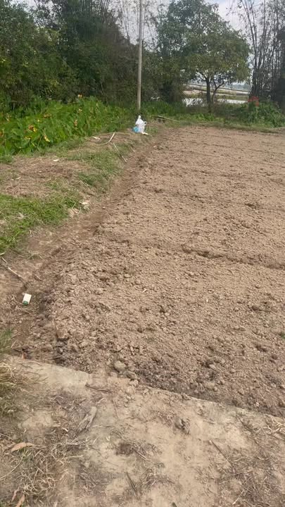 Đất nền Quế Phú 120m² giá chỉ từ 200 triệu - Cần bán gấp hỗ trợ tài chính!