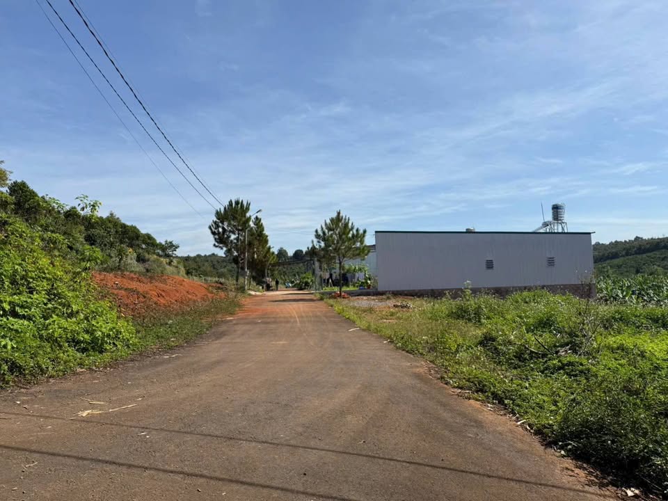 Đất nền Lộc An Bảo Lâm 125m² giá 650 triệu - Sổ đỏ chính chủ, bớt lộc!