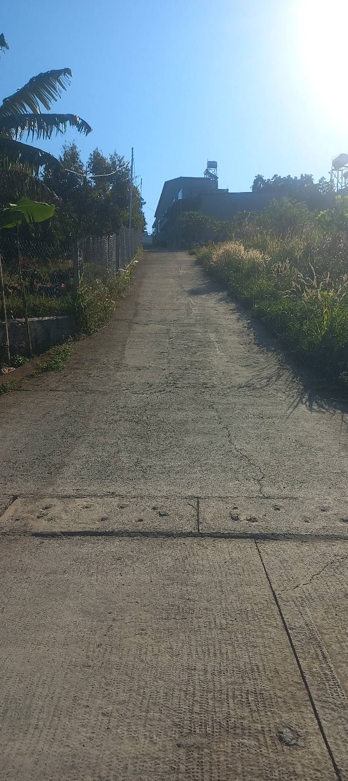 Đất nền 1800m² tại Tân Nghĩa, Di Linh - Giá chỉ 1.65 tỷ, view hồ tuyệt đẹp!