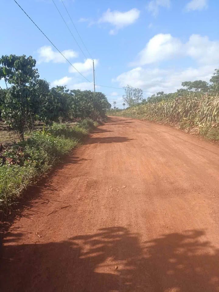 Đất nền thôn 9 Lộc Ngãi 5.3ha giá 470 triệu - Mặt đường thuận lợi, sổ đỏ chính chủ!