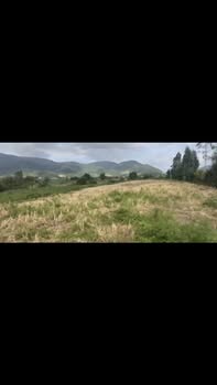 Đất nền xã Đất Bằng, huyện Krông Pa, Gia Lai 10.937m² - Đầu tư sinh lời ngay!