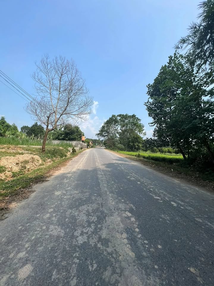 Đất nền Minh Lập 605m² giá 750 triệu - Sổ đỏ chính chủ, thổ cư 75m²!