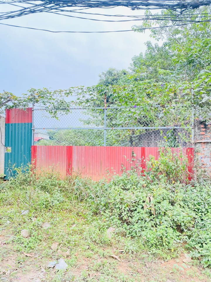 Đất kinh doanh mặt đường 302C, Trại Giao 165m² giá 4,x tỷ - Cơ hội đầu tư tuyệt vời!