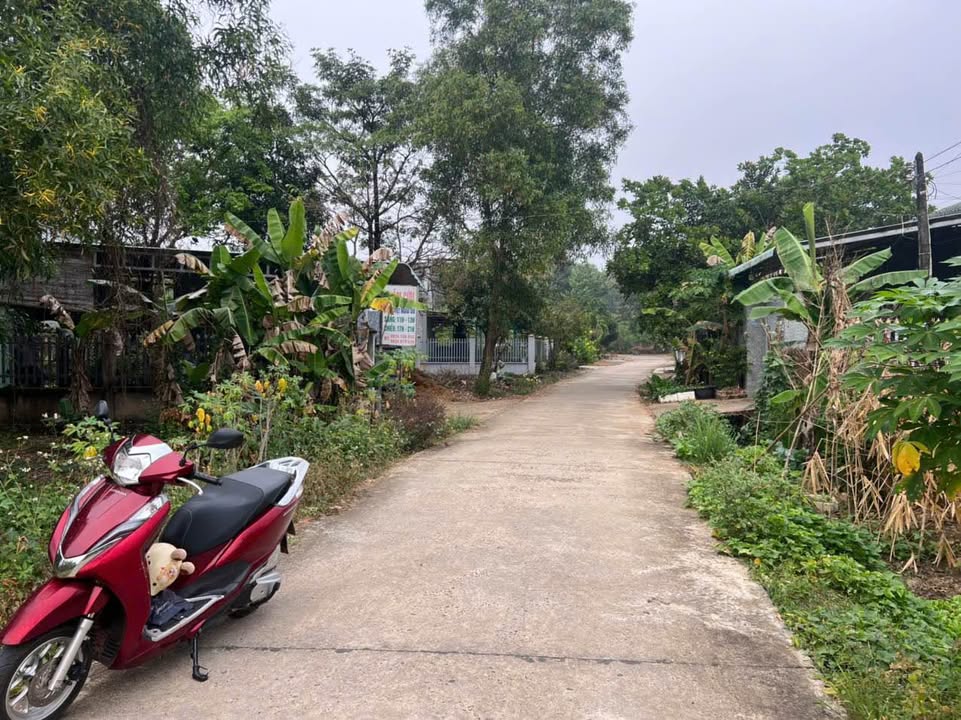 Đất thổ cư 550m² Quốc lộ 14, Đồng Phú - Giá 1 tỷ, vị trí đẹp!