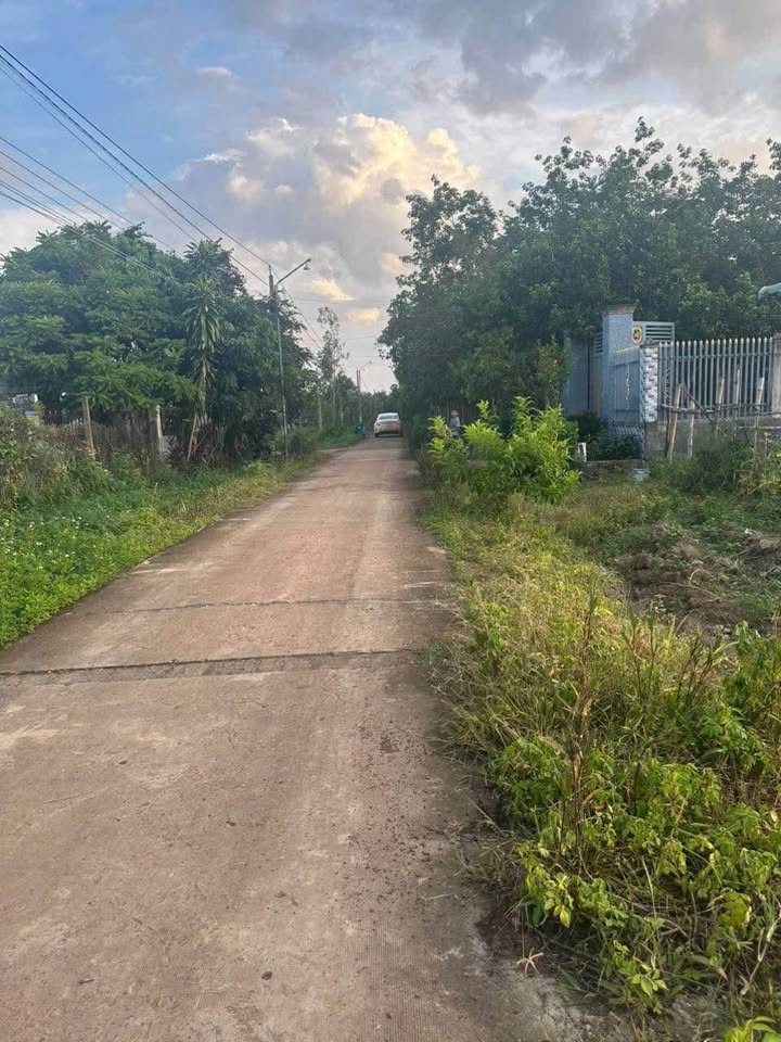 Đất nền chính chủ tại Nhà văn hoá Bù Xăng 10000m² giá chỉ 840 triệu - Cơ hội đầu tư tuyệt vời!