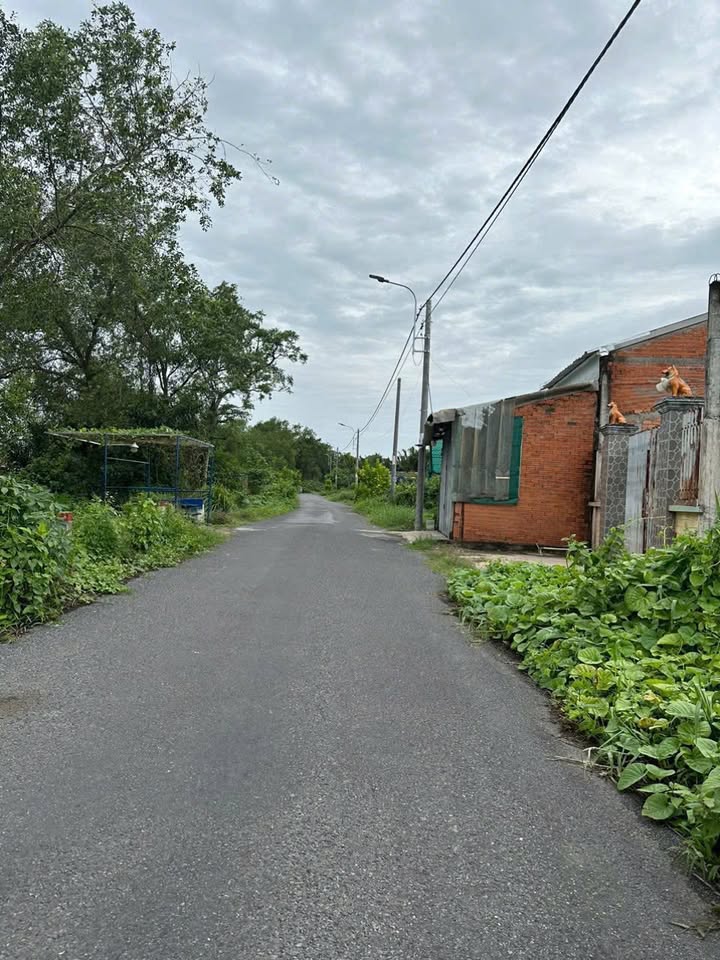 Đất thổ cư mặt tiền đường Nguyễn Văn Siêu, Tân An 112m² - Giá 1.39 tỷ, cơ hội đầu tư tuyệt vời!