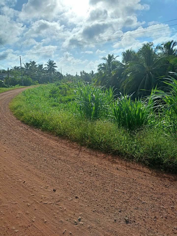 Đất nền mặt tiền đường Nguyễn Văn Quá, Tân An 673m² giá 800 triệu - Cơ hội đầu tư tuyệt vời!