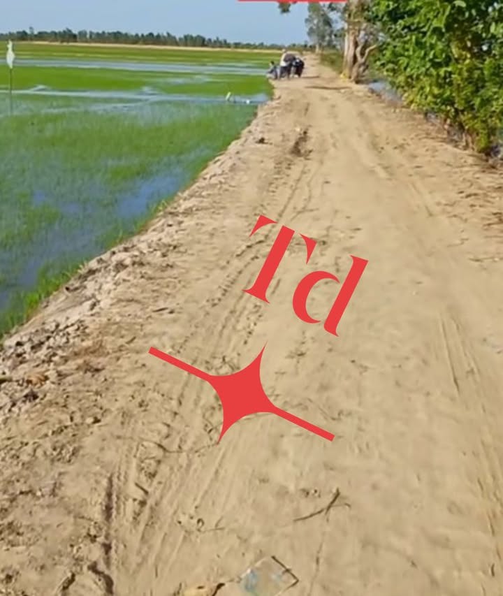 Đất nông nghiệp Vĩnh Châu A 70.000m² giá 10.85 tỷ - Mặt tiền rộng 100m