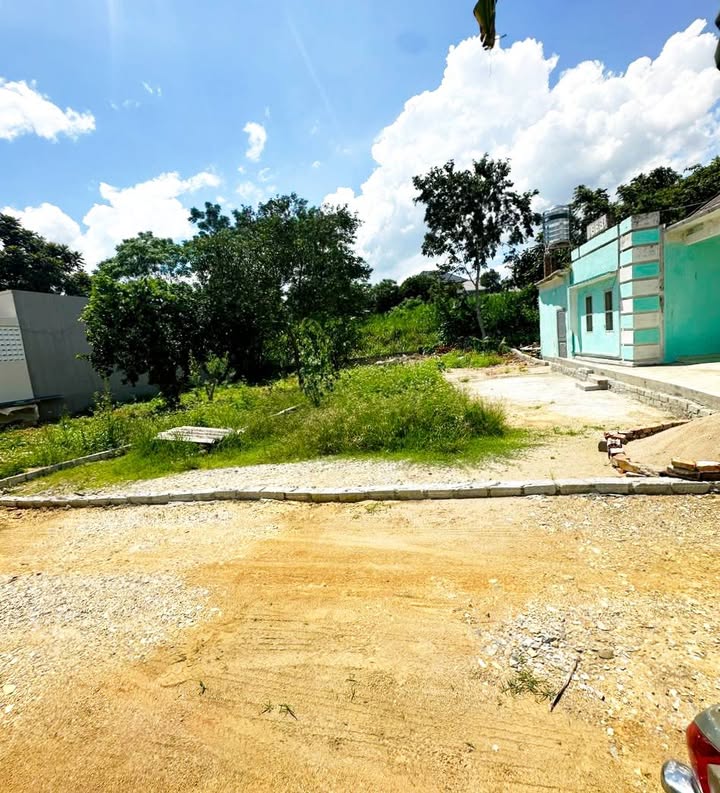 Đất An Tường 280m² giá 1 tỷ - Đầu tư sinh lời ngay hôm nay!