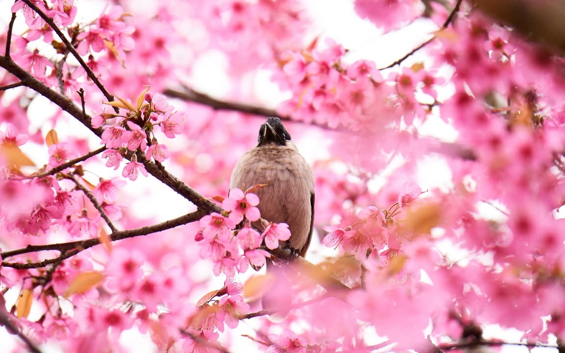 Đất vàng phường Mỹ Lâm, Tuyên Quang 100m² giá 560 triệu - Sở hữu ngay vị trí đắc địa!