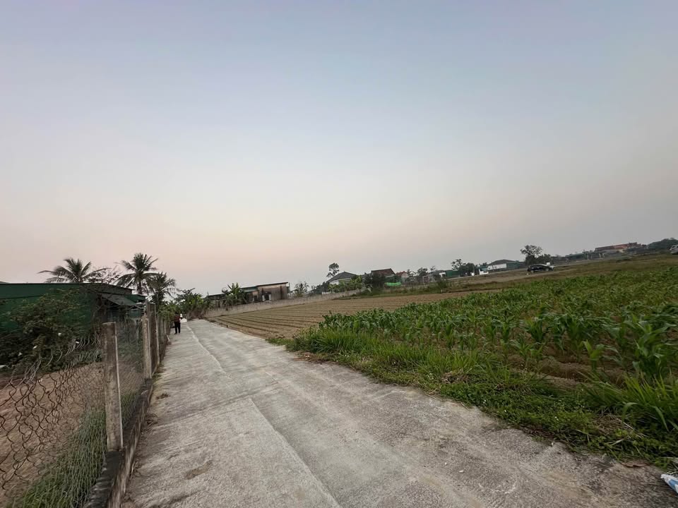 Đất nền Xóm 1, Nghi Trường 15141m² - Chính chủ bán gấp!