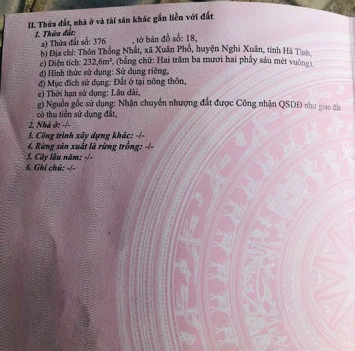 Đất thổ cư Thôn Thống Nhất, Xã Đan Hải 232m² chỉ 1 tỷ - Cơ hội đầu tư tuyệt vời!