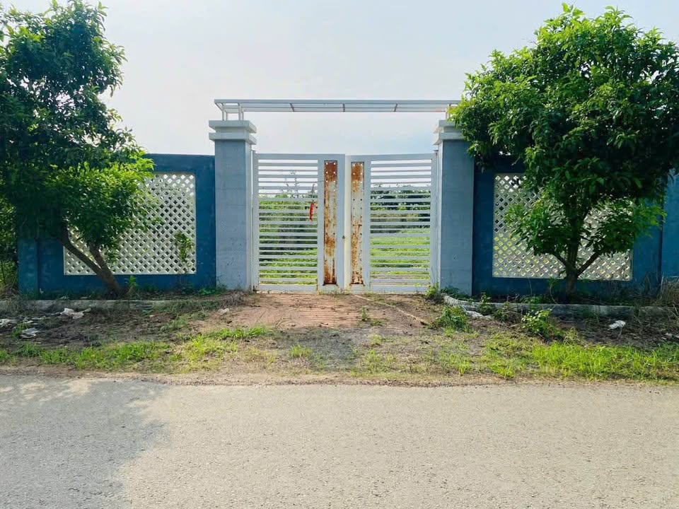 Lô đất Đường Nguyễn Huệ, xã Đất Đỏ 600m² - Tiềm năng đầu tư sinh lời