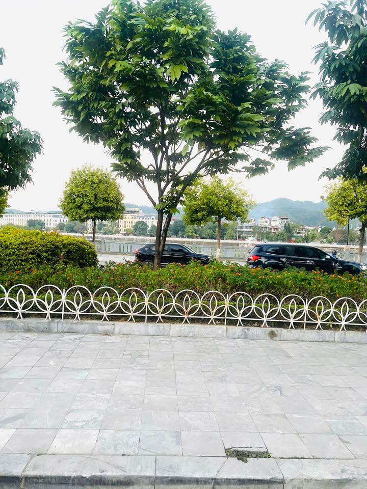 Nhà cấp 4 An Dương Vương, Kim Tân, Lào Cai 117m² giá 9.8 tỷ - Vị trí VIP gần tiểu công viên!