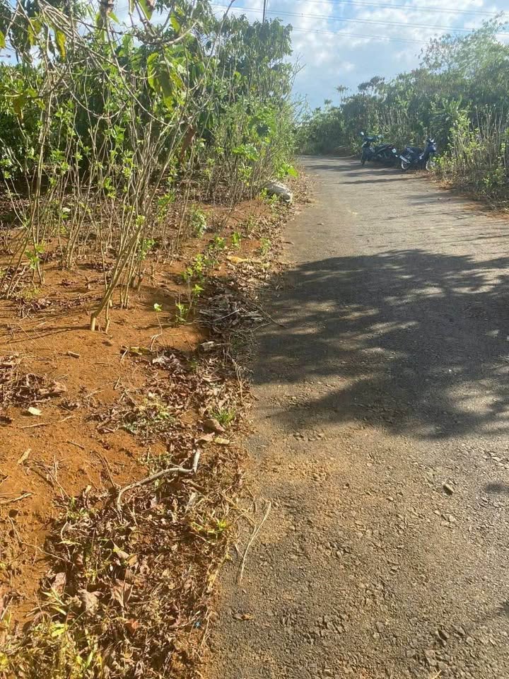 Đất thổ cư Lộc An 140m² giá 400 triệu - Cơ hội đầu tư tuyệt vời!