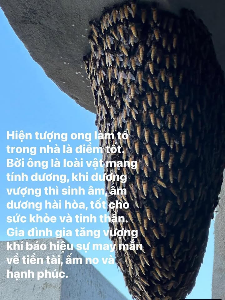 Nhà cấp 4 tại Phường Quy Nhơn, 79m² giá 4.9 tỷ - Sân trống nấu nướng ngoài trời!