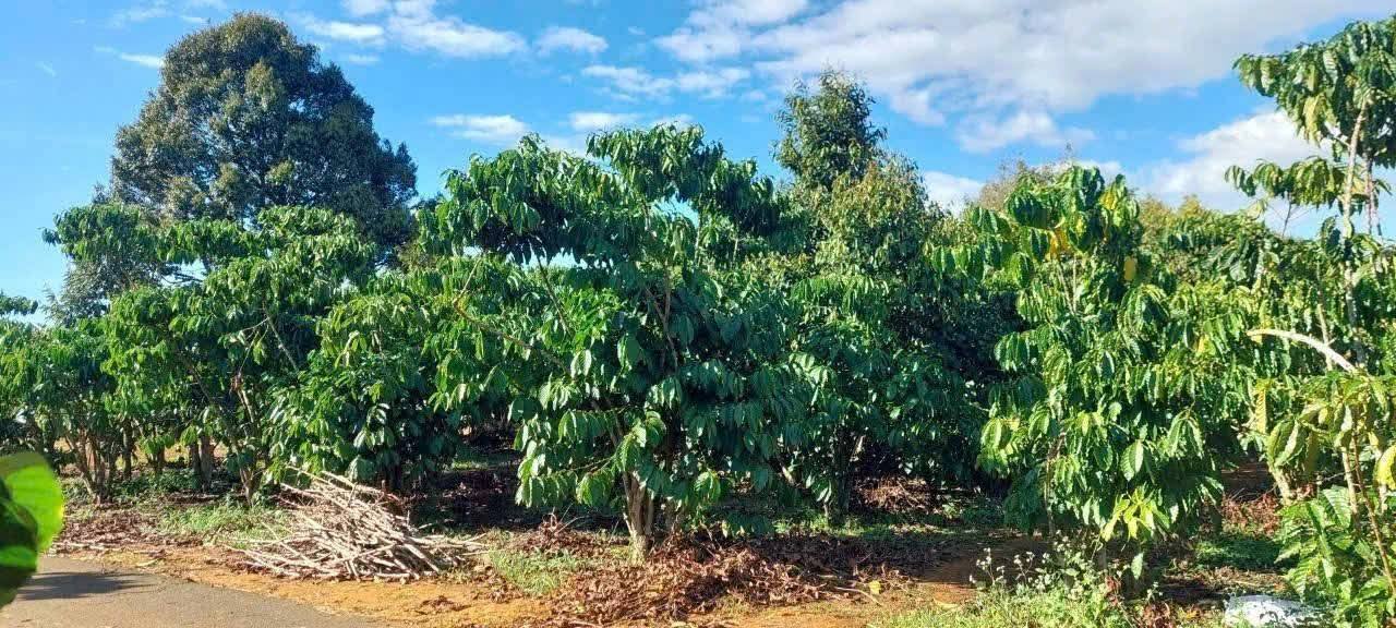 Đất nền 131m² Hẻm Trần Quang Khải, Bảo Lộc - Giá chỉ 1.5 tỷ thương lượng