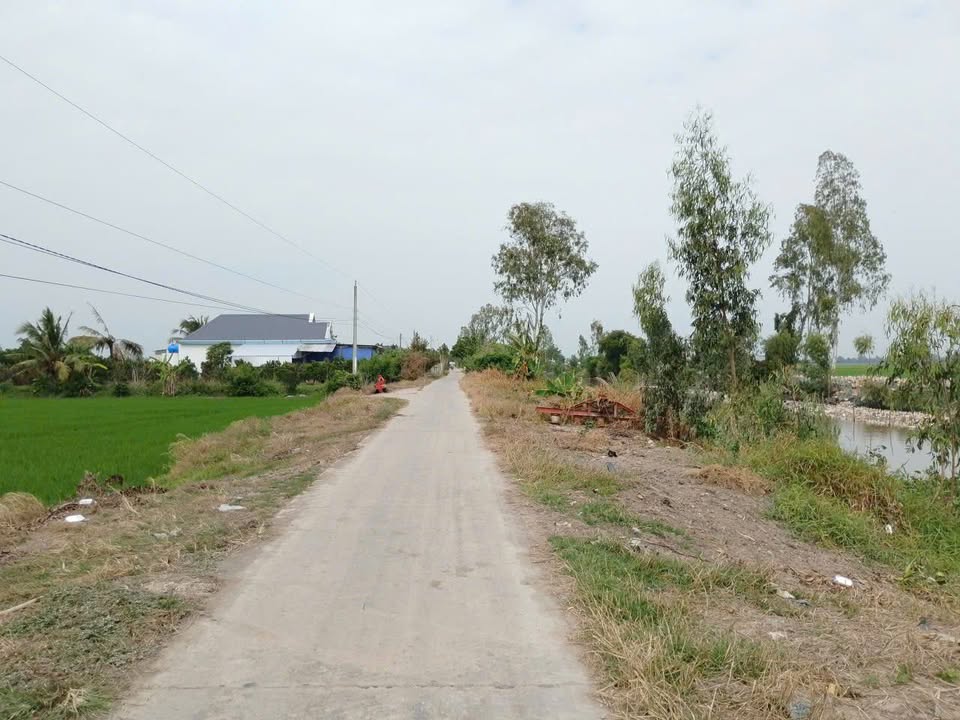 Đất Farm 600000m² tại Mỹ Hiệp Sơn, Hòn Đất - Giá 145 triệu, Mặt tiền 100m
