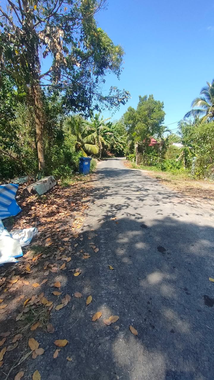 Đất nền Long Phước, Long Hồ 90m² giá 430 triệu - Pháp lý rõ ràng, vị trí thuận lợi!