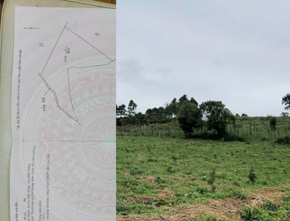 Đất nền 1,8 ha tại Thuận Hạnh, Đắk Song chỉ 130 triệu/sào - Đầu tư sinh lời hấp dẫn!