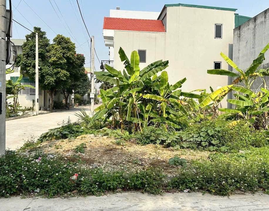 Đất lô góc 112m² tại Phường Hoa Lư, Ninh Bình - Đầu tư sinh lời hấp dẫn!