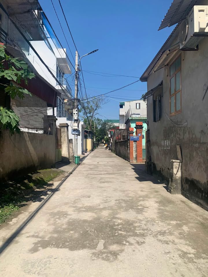 Đất đẹp đường Lưu Cơ, Ninh Khánh 76,5m² chỉ 3,9 tỷ - Cơ hội đầu tư tuyệt vời!